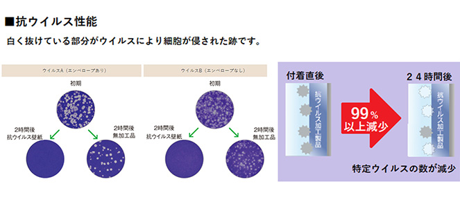 抗ウイルス性能