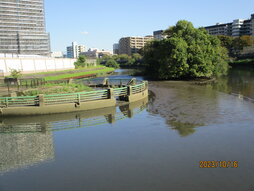 img1_path_653898bc3b1c8.jpg