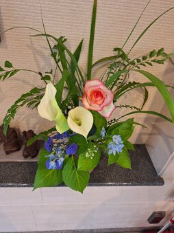 img1_path_669f7c0a82698.jpg