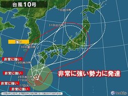img1_path_66cd8b4a32587.jpg
