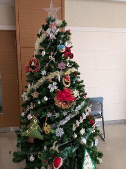 img1_path_675182a970f78.jpg